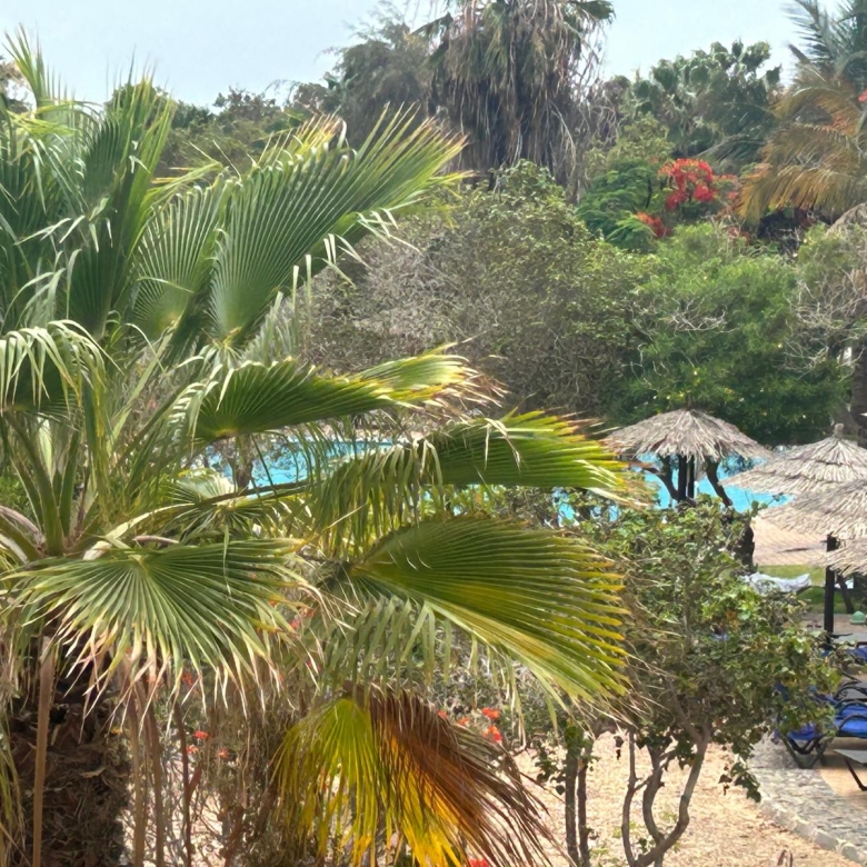 Cape Verde Property for Sale - Attractive 2-Bed Apartment at Tortuga Beach Resort, Sal