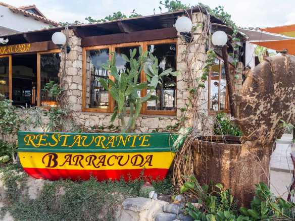 Barracuda Restaurant – A Beachfront Classic Among the Best Restaurants in Sal, Cape Verde