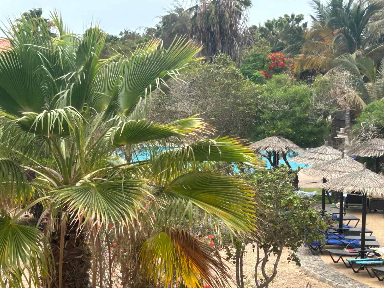 2 Bed Apartment Tortuga Beach Resort – Pool & Sunset Views